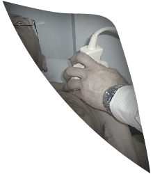 תמונת כתף